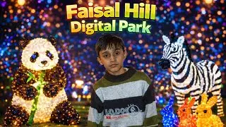 Faisal Hill Digital Park | Beautiful Lighting Animals 🐼🦓🐰 | Family Night Vlog
