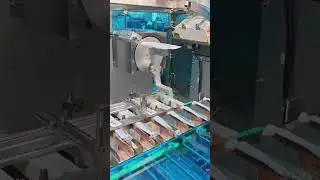 High-Speed Cartoning Machine | Precision Packaging for Pharma, Supplement & Food #cartoningmachine