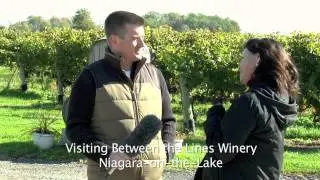Between the Lines Winery Tour | Part 1