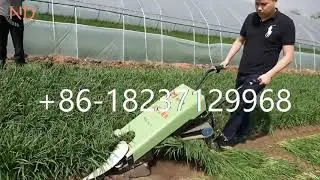 battery-operated green leek harvester reaper machine chinese chives harvester cutting machine