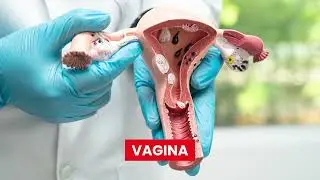 Best Fertility Treatment in Siliguri | IVF, IUI & ICSI by Dr. Priyankur Roy