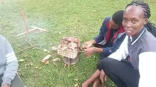 UNIQUE SMOKING AS A METHOD OF PRESERVATION