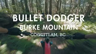 Mountain Biking 