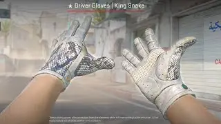 CS2 Updated DRIVER GLOVES KING SNAKE