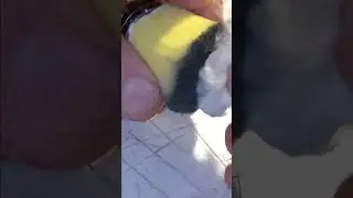 Metal Polishing with Homemade Bushless motor