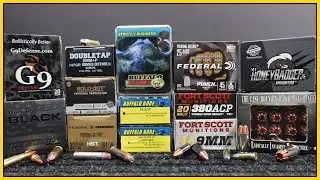 You Asked For It!...Mice, Buffalo, and More on The AMMO Update!