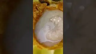 How Does A Bee Become Queen?