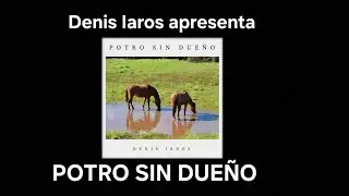 POTRO SIN DUE&Ntilde;O | Denis Iaros 