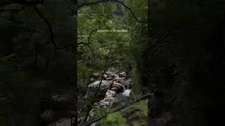 ✌️peaceful #ytshorts #travel #travelalone #solotravel #himachal #mountains