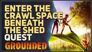Enter the crawl space beneath the shed Grounded