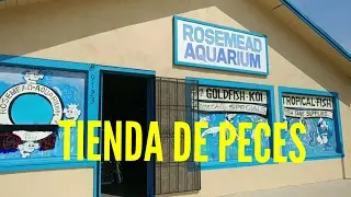 tienda de peces en california