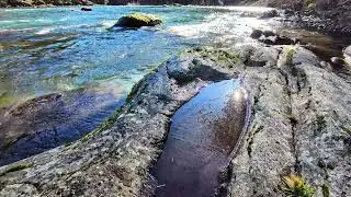 Flowing River 🌊🌿 | Natural River Sounds for Deep Sleep, Relaxation & Focus