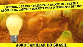 PROGRAMA DE LUZ DAS POEDEIRAS: 