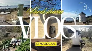 【Vlog】小豆島 Vlog🫒フォトスポット盛りだくさん！