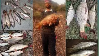 Traditional Hook Fishing|| Live Chaal || Common Carp Fishing....Lamdoor Fishing🐟🐟