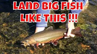 Fighting Big Fish - How To