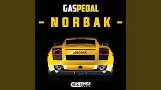 Gas Pedal