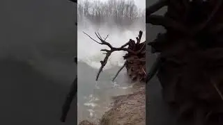 Tree Swing FAIL Gone Wild 🌳😂 | Biggest Swing Chaos Ever #funny #FailShorts