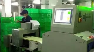 combo metal detecto and x ray inspection system