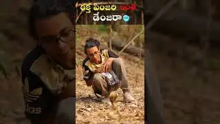 ఇది కనిపిస్తే వెంటనే పారిపోండి! 🥶 | Most Dangerous Snake Warning|mhlfacts