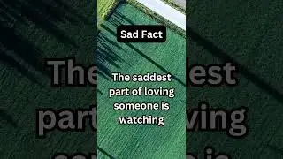 True Facts 6