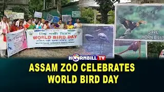 ASSAM ZOO CELEBRATES WORLD BIRD DAY