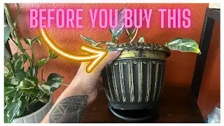 Retro Antique Decorative Plant Pots &ndash; Stylish and Functional