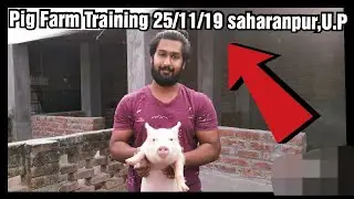 Pig Farm Training 25 November 2019, Saharanpur,UP - 9058705146