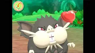 Pokemon Refresh - Raticate-Alola