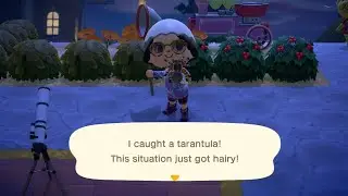 I CAUGHT A Tarantula!! 🕷🤯 #animalcrossing 
