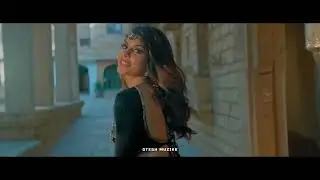 Hani Singh song now 