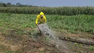 Irrigation Hack: Watering Crops for Maximum Growth _FarmersLife _Shorts