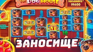 ДОЖДАЛСЯ ЗАНОСА В THE DOG HOUSE MEGAWAYS / ЧТО ТВОРЯТ СОБАКИ??? ( ЗАНОСЫ НЕДЕЛИ )