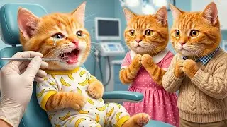 Mama Cat Trims Fur on the Farm and Makes Tiger Hat For Kittens At Home 🐾🎩🐯