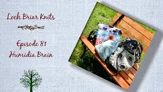 LOCH BRIAR KNITS Ep 81 || A Knitting Podcast || HUMIDIA BRAIN || Tracie Millar Patterns & Socks