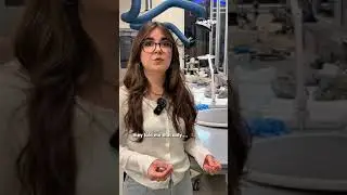 Exploring the Smithsonian Natural History Museum&rsquo;s rare dinosaur fossil archives