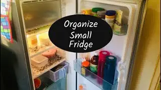 Refrigerator Organisation Idea | Small Indian Refrigeration Tour