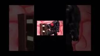 For the emperor, war hammer 40k vs furrys