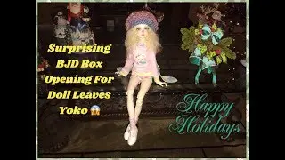 A Surprising BJD Box Opening For Doll Leaves Yoko!