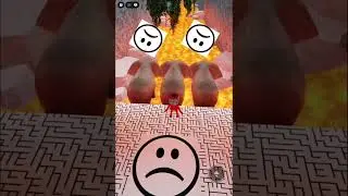 Играю в When the game is real