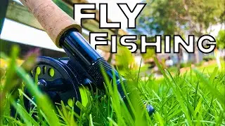 Fly Fishing for anything that bites! (Multi-species)
