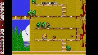 PC Engine - The New Zealand Story (1990)