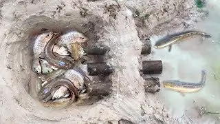 Amazing Fish Trap By 3 Bamboo Hole To Make Best Deep Hole Fish Trap Catch a lot of Fish in Cambodia