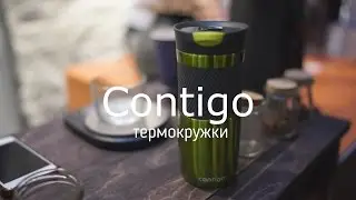 Термокружки Contigo