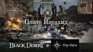 Black Desert - лучший спот для новичков после сезона/академии 