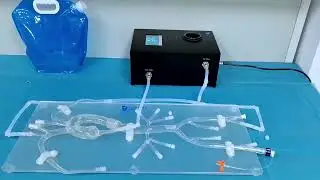 Pulsatile Pump P-120 For Driving Vascular Models | Pulsatile Pump P-120 and Mock Circulation Loop