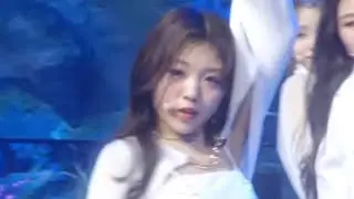 김리원 KIM RIWON lions stage cut