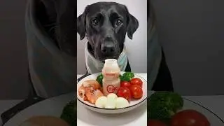 VIP dog in my home 🥰😅😅😂 #dog #goldenretiever #mukbang #ilovegoldenretrievers