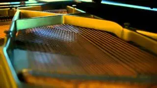 Chickering Grand Piano - Chickering Piano 1898 - Chickering Pianos for Sale