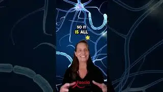 What if fascia is the nervous system?